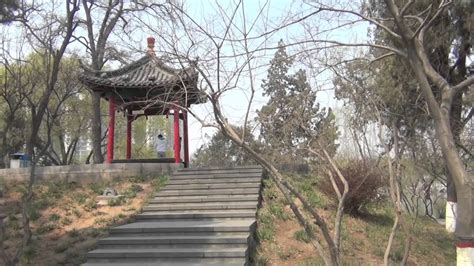 石家庄情商培训机构成人