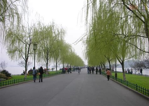 石家庄情商教育机构