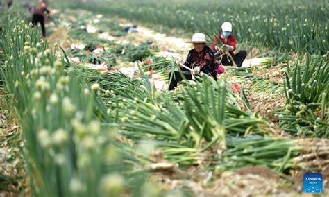 石家庄栾城区情商辅导班短期班