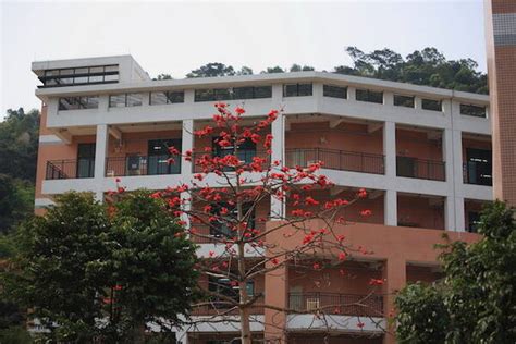 中山路中小学课外辅导课程计划