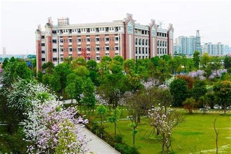 中山路中小学课外培训教育训练营