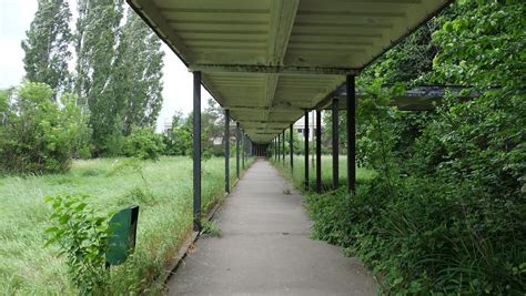 铁路西中小学课外培训培养