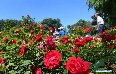 长春少儿编程培训哪里好