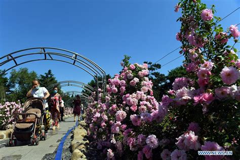 长春少儿编程培训机构哪个好