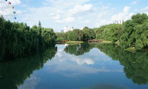 长春少儿编程有名培训机构