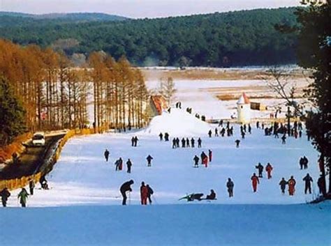 长春少儿编程培训哪里好