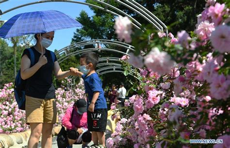 长春少儿学编程课程