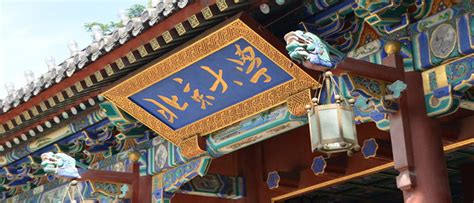 长春少儿编程机构