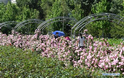 长春少儿编程思维培训