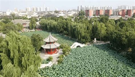 保定竞秀区哪里有一建培训
