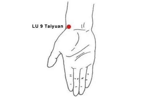 太原中医经络调理师培训班