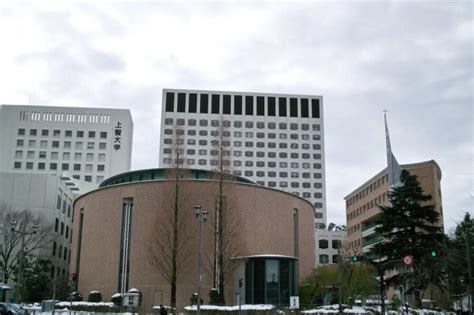 美国索菲亚大学MBA影视文化投资方向班