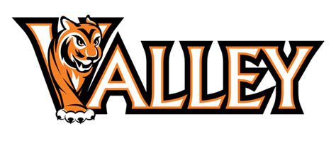 石家庄月嫂培训辅导**