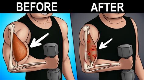 石家庄月嫂培训多少钱