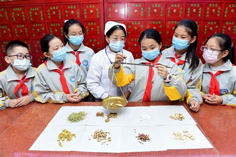 石家庄中医推拿培训班