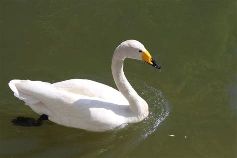 太原哪家围棋培训好