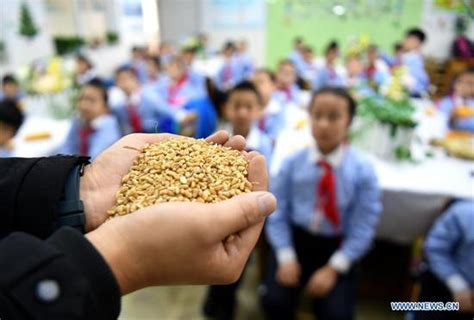 石家庄初级雅思在线学习