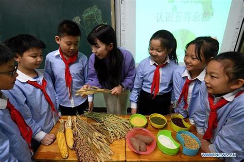 石家庄初级雅思在线学习
