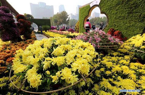 石家庄学习法语留学机构推荐