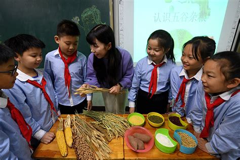 石家庄托福培训学校哪家好