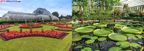 石家庄学雅思暑假哪个培训好