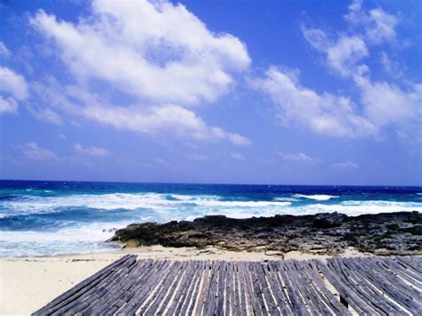 石家庄培训托福暑假费用