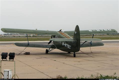 石家庄y雅思培训班班