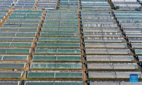 太原小店区健康管理师辅导课程在哪里