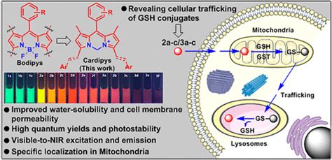 太原培训建造师二级班-太原优路建造师培训