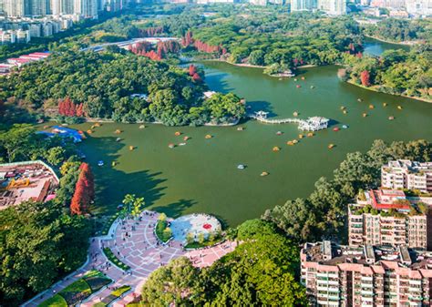 天河区股票投资培训公司