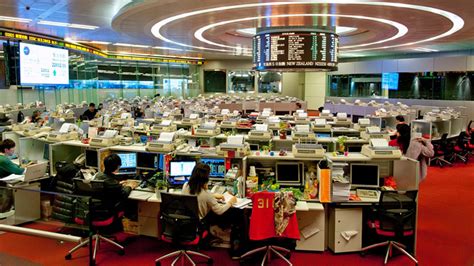 天河区职业股票投资