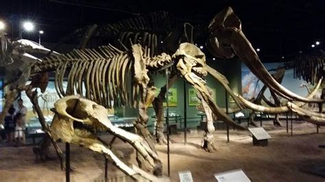 天津内审员考前培训