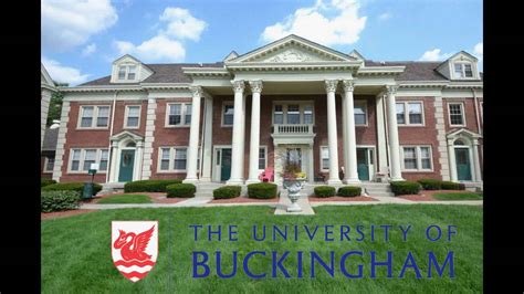 新白金汉大学mba
