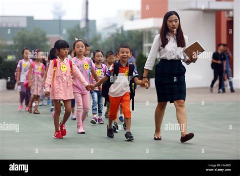 天津全过程师证书