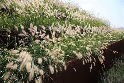 天津邮电装配式工程师证书