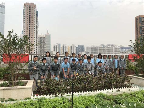 深圳学会计师哪个好