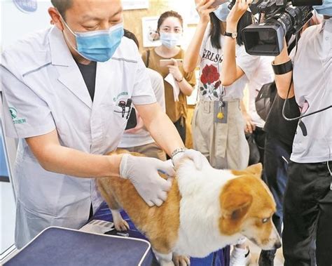 深圳注会培训网