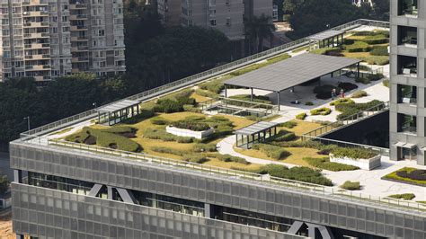 深圳注会学习课程