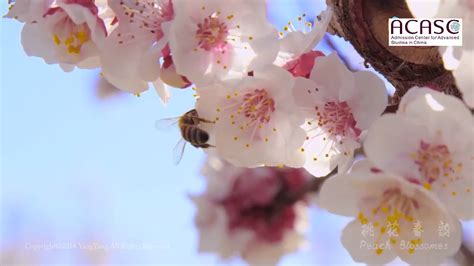 长春雅思培训机构排名