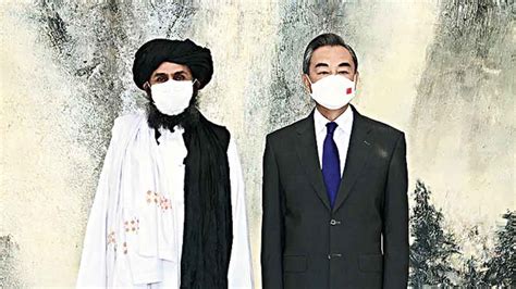 天津act外教辅导