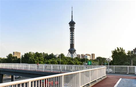 石家庄裕华区孩子编程辅导价格
