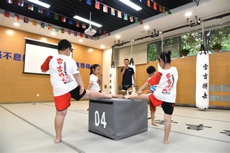 石家庄少儿编程培训培训