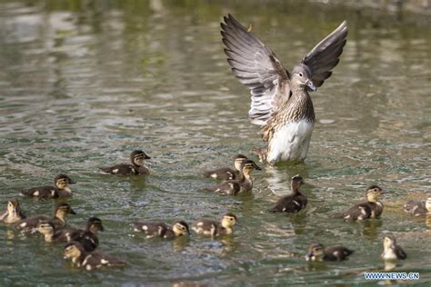 哈尔滨西班牙语辅导