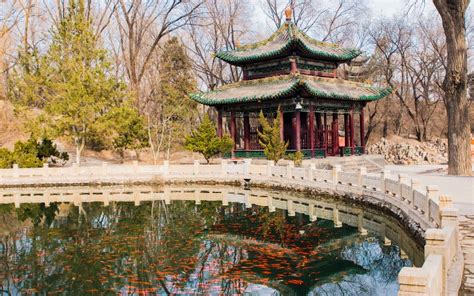 太原雅思哪学好