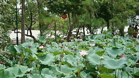 惠州非MBA怎么上课