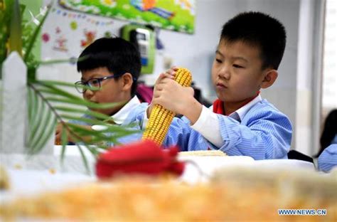 石家庄心理师三级培训学校