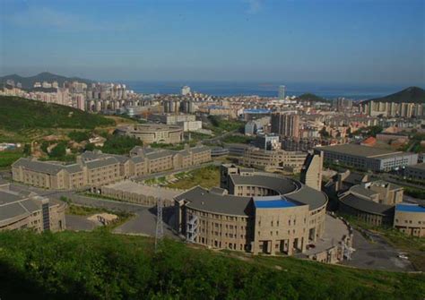 大连沙河口区学软件开发