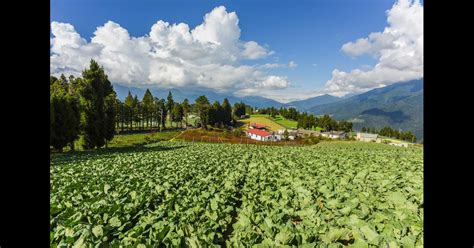 和平区彩妆培训费用