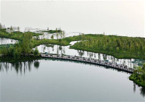 河东区哪个美容比较好