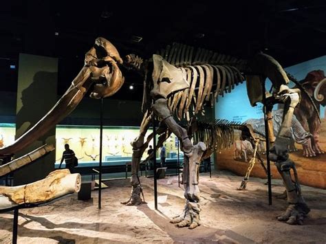 天津化妆去哪里学比较好